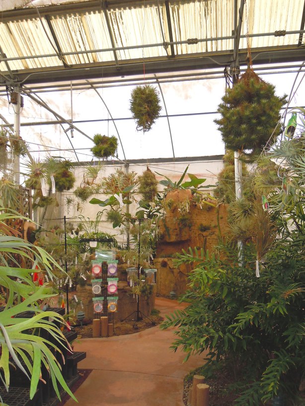 Retail area of RFI greenhouse